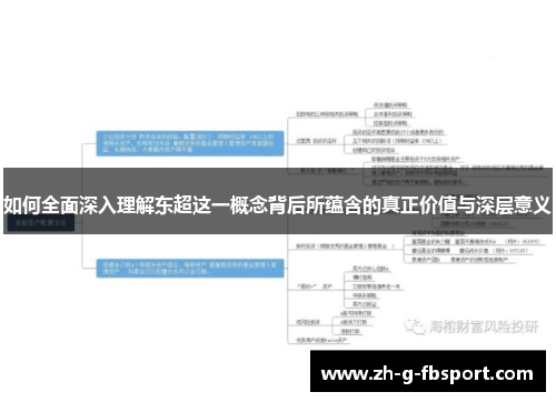 如何全面深入理解东超这一概念背后所蕴含的真正价值与深层意义