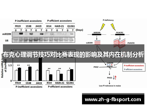 布克心理调节技巧对比赛表现的影响及其内在机制分析